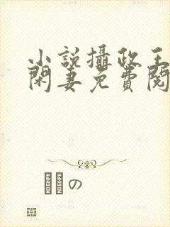 小说摄政王的小闲妻免费阅读