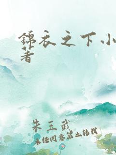 锦衣之下小说原著