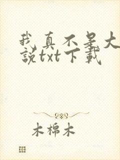 我真不是大佬小说txt下载