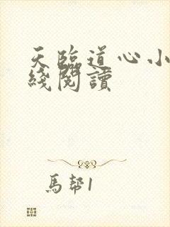 天临道心小说在线阅读