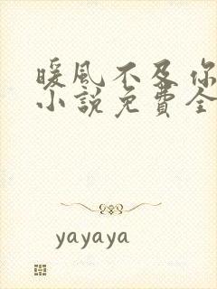 暖风不及你情深小说免费全本阅读