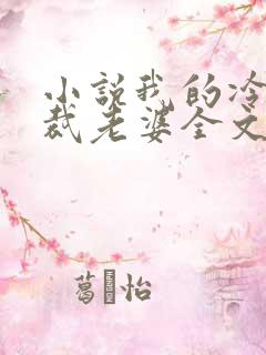 小说我的冷艳总裁老婆全文阅读