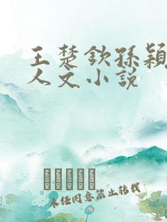 王楚钦孙颖莎同人文小说