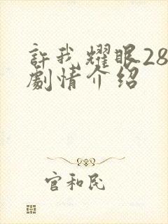 许我耀眼28集剧情介绍