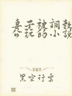 妻子被调教给老公玩的小说