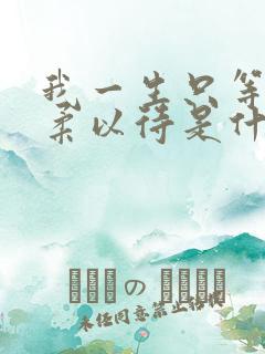 我一生只等你温柔以待是什么歌