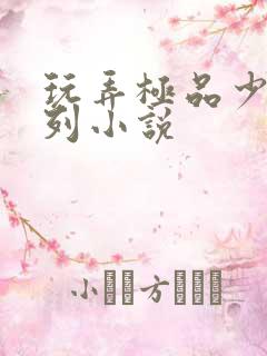 玩弄极品少妇系列小说