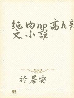纯肉np高h辣文小说