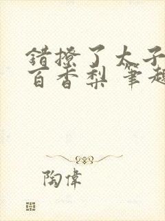 错撩了太子后 百香梨 笔趣阁