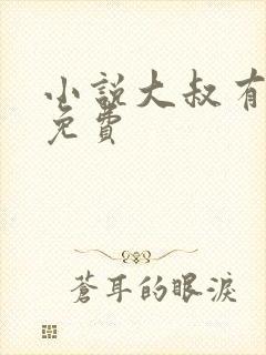 小说大叔有点帅免费