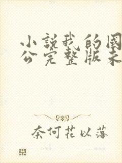 小说我的国民老公完整版未删减小说