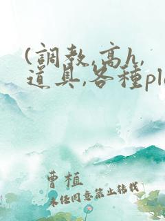 (调教,高h,道具,各种play)文