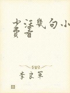 少汪几句小说免费看