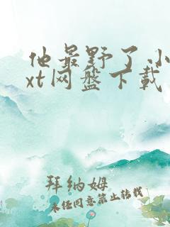 他最野了小说txt网盘下载