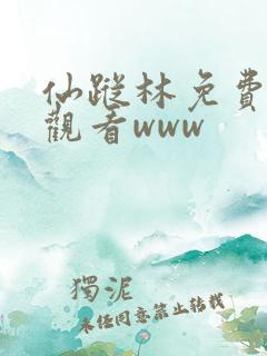 仙踪林免费在线观看www