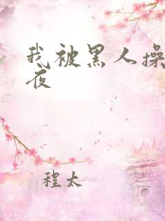 我被黑人操了一夜