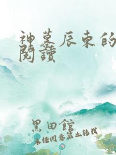 神墓辰东的免费阅读