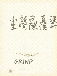 小说我真没想重生啊陈汉升全文