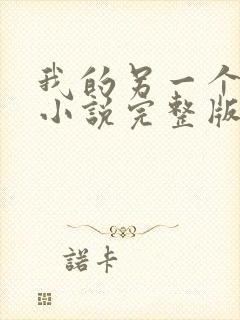 我的另一个老公小说完整版阅读全文