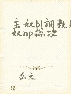 主奴bl调教贱奴np总攻