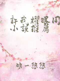 许我耀眼同人文小说推荐