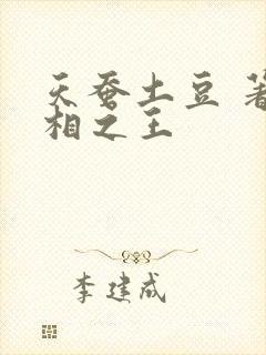 天蚕土豆 著万相之王