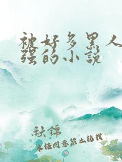 被好多黑人一启强的小说