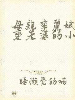 母亲宁丽娥失忆变老婆的小说