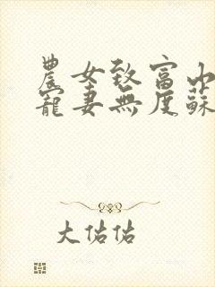 农女致富山里汉宠妻无度苏红珊