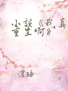 小说《我真没想重生啊》