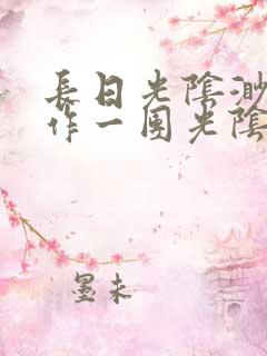 长日光阴渺渺乱作一团光阴似箭小说