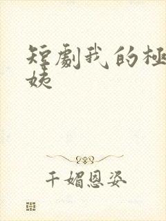 短剧我的极品小姨