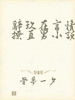 辞玖在言情文里撩直男小说