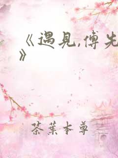 《遇见,傅先生》