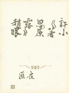 赵露思《许我耀眼》原著小说