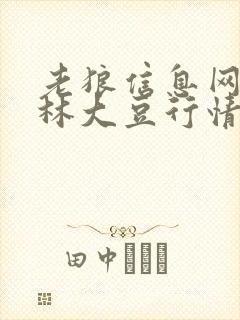 老狼信息网仙踪林大豆行情