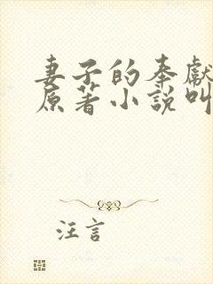 妻子的奉献三叔原著小说叫什么