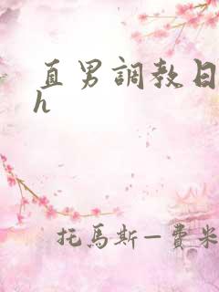 直男调教日记(h