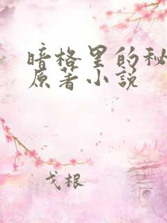 暗格里的秘密的原著小说