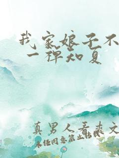我家娘子不对劲 一禅知夏