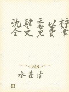 沈肆季以柠小说全文免费笔趣阁