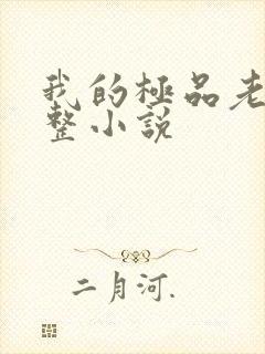 我的极品老婆完整小说