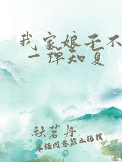 我家娘子不对劲 一禅知夏