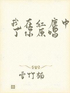 我在红尘中遇见了你原唱