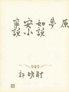宁安如梦原著小说小说