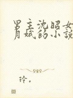 男主沈昭女主周月娥的小说