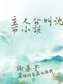 主人公叫沈飞都市小说