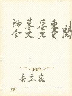 神墓辰东 小说全文免费阅读