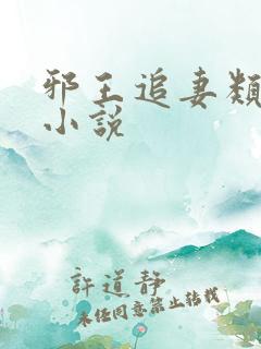 邪王追妻类似的小说