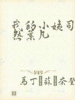 我的小姨司空嫣然叶凡